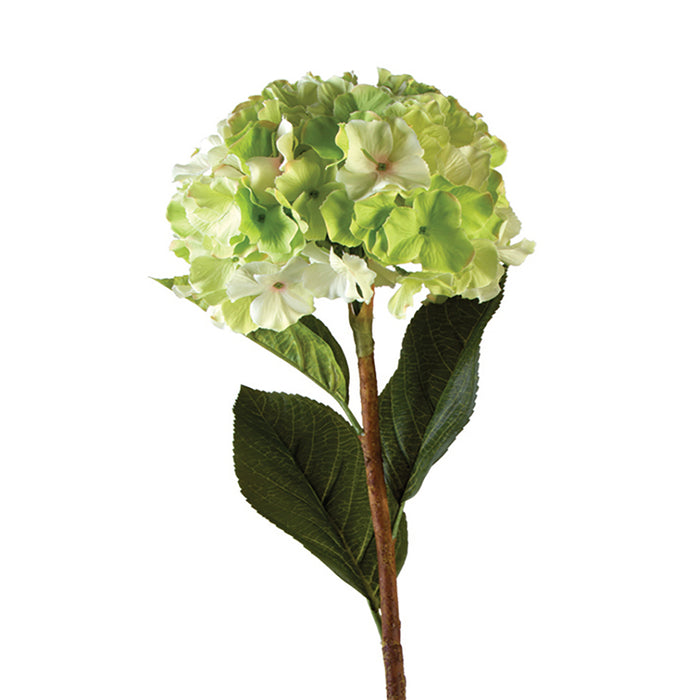 Hydrangea Spray