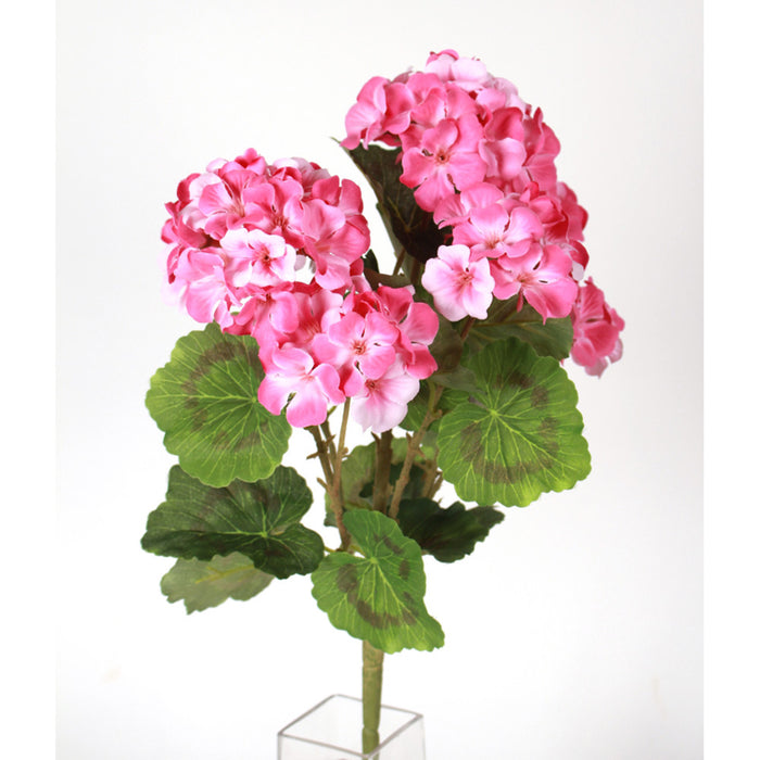 18" Geranium Bush