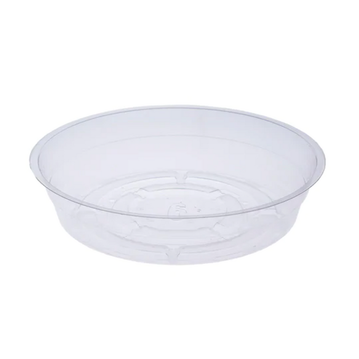 Clear Saucer - 6 Inch