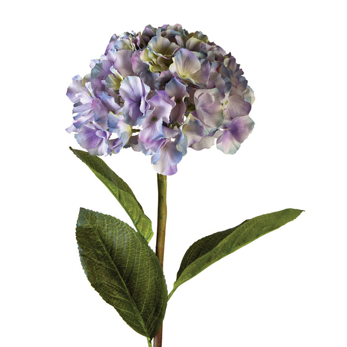 Hydrangea Spray