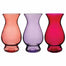 10 5/8" Bella Vase - Passionfruit Assortment