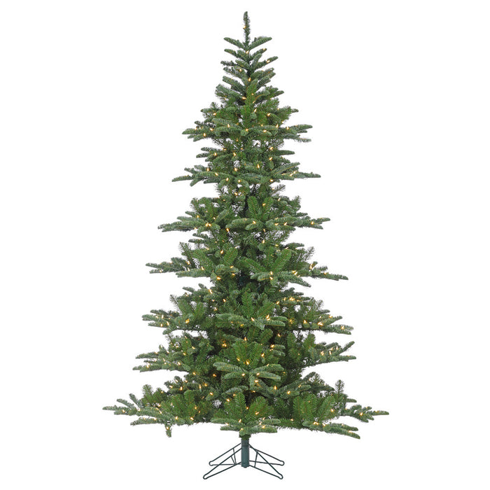 Morgan Fir Tree