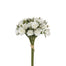 13 in Polyester Mini Wild Rose Bundle