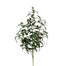 Olive Branch w/Olives - Dark Green