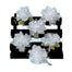 Premade Corsage - Basic