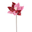 20 Poinsettia Stem - Red/Pink