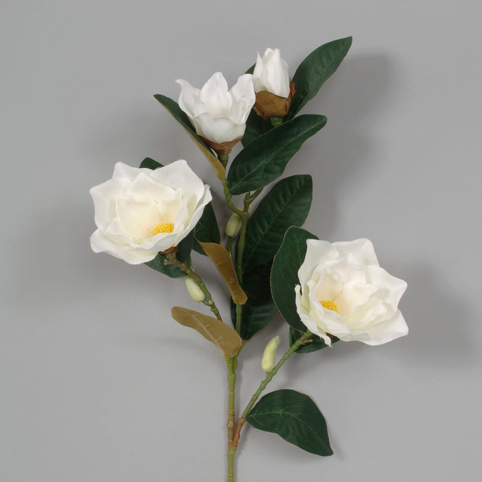 Magnolia Spray - White