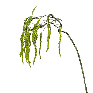 31 in Hanging Amaranthus Spray - Green