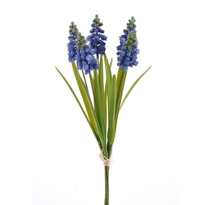 12 in Grape Hyacinth Bundle - Blue