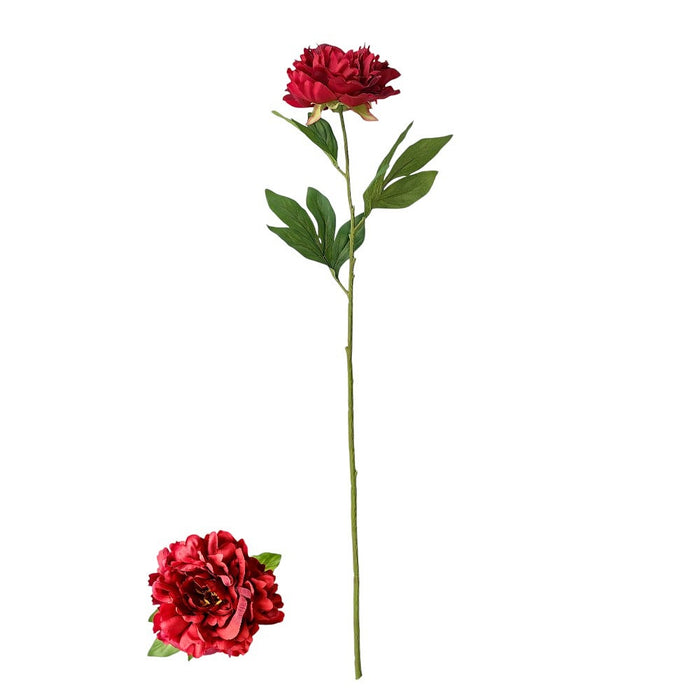 30 in Peony Natural Stem - Red