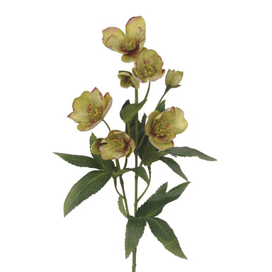 22 in Polyester Helleborus Spray