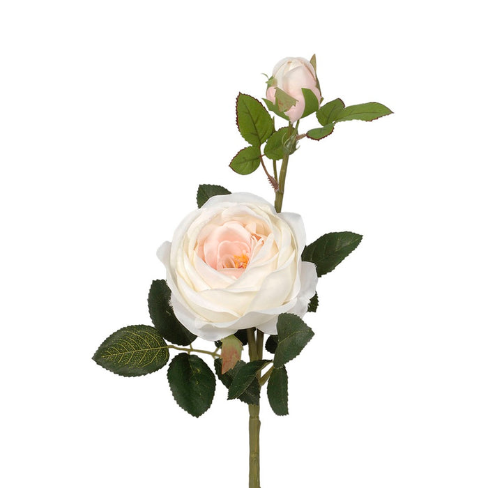 24 in Cabbage Rose Spray