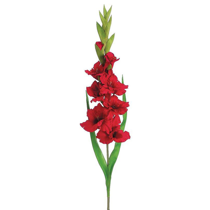 Gladiolas