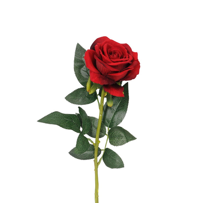30 in Velvet Rose