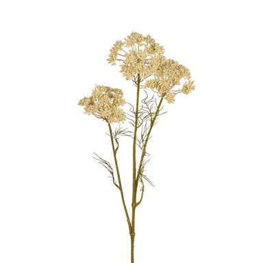 29 1/2 in Yarrow Spray - Cream