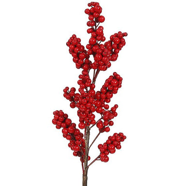 25" Holly Stem - Red