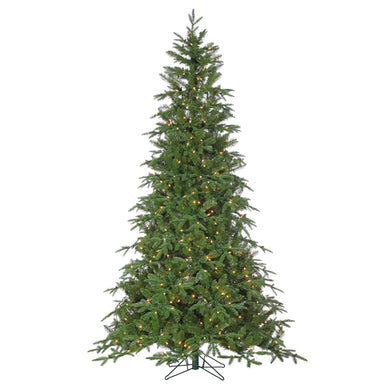 9' Nordmann Fir Tree - Green