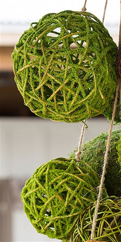 Curly Willow Ball