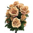 Grandiflora Rose Bush