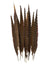 Pheasant Feathers