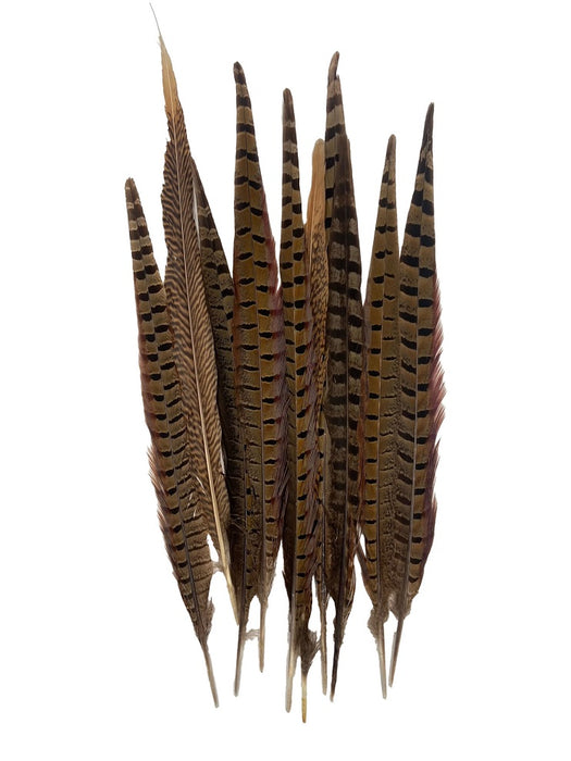 Pheasant Feathers