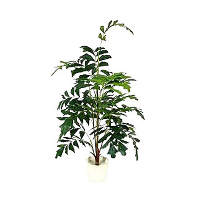 6 ft Fish Tail Tree - Green