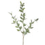 Dusty Laurel Branch - Grey/Green