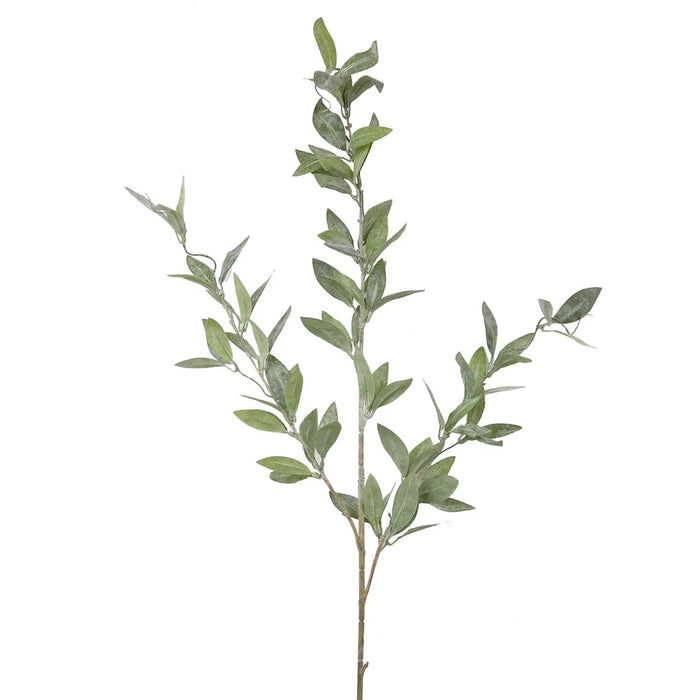 Dusty Laurel Branch - Grey/Green