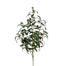 Olive Branch w/Olives - Dark Green
