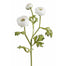 18.5" Ranunculus - White