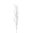 Bamboo Branch