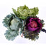 10" Cabbage Pick Assortment - Green/Multicolored