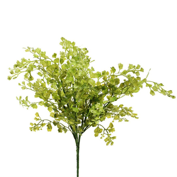 17" Maidenhair Bush - Green