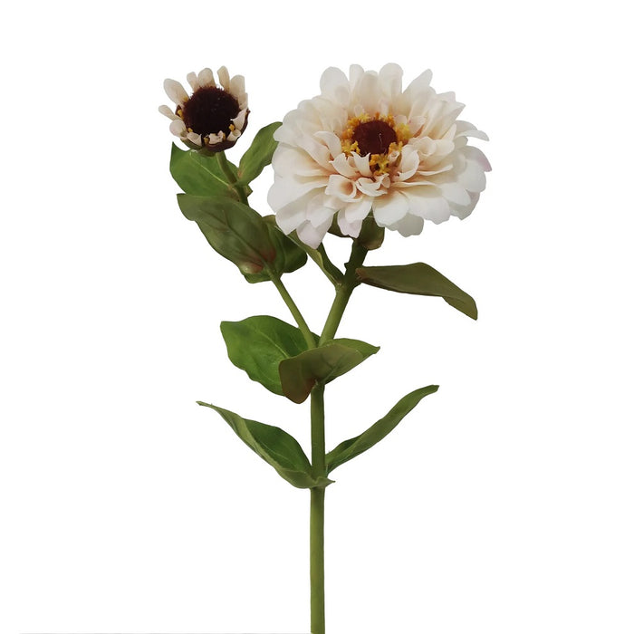 24.5 in Zinnia - Cream/Wine