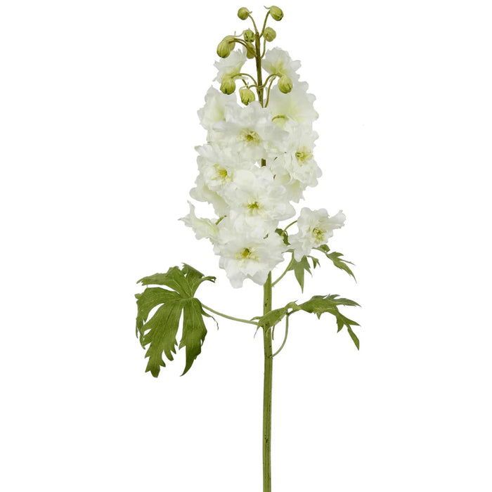 28" Delphinium Short Stem - White