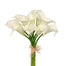 Calla Lily Bundle