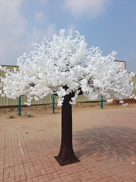 13' Cherry Blossom Tree