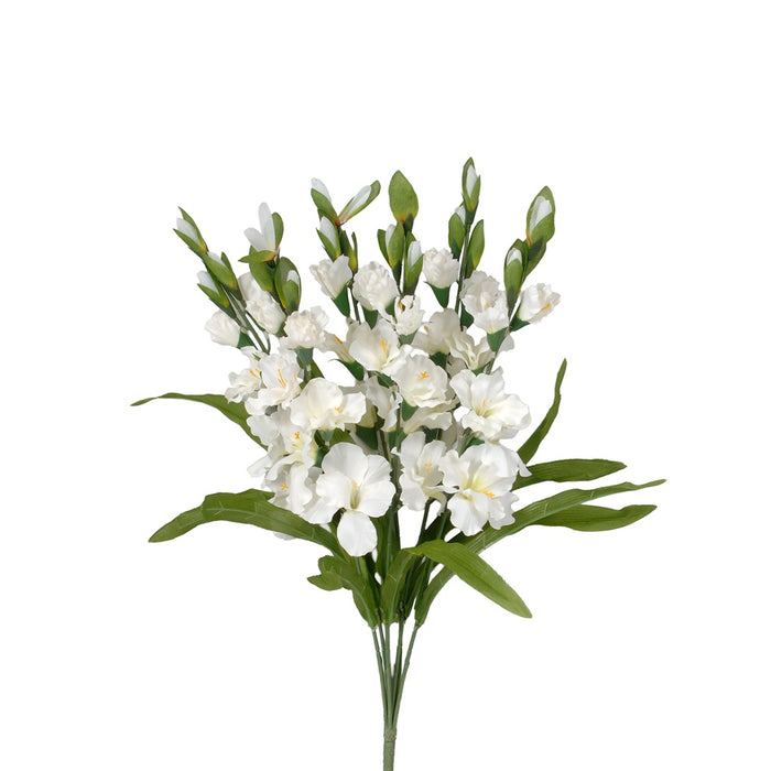 27 in Gladiolus Bush