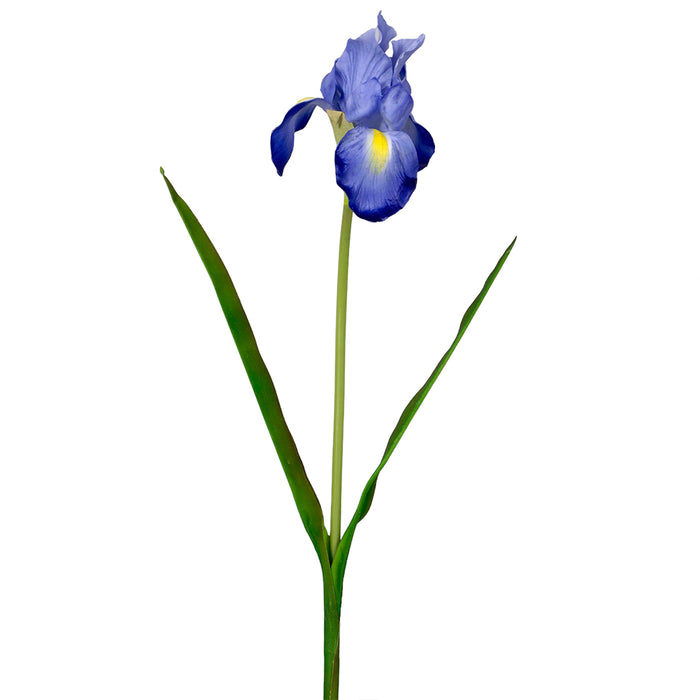 28" Iris w/Leaves - Blue/Yellow