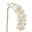 60 inPolyester Phalaenopsis Stem