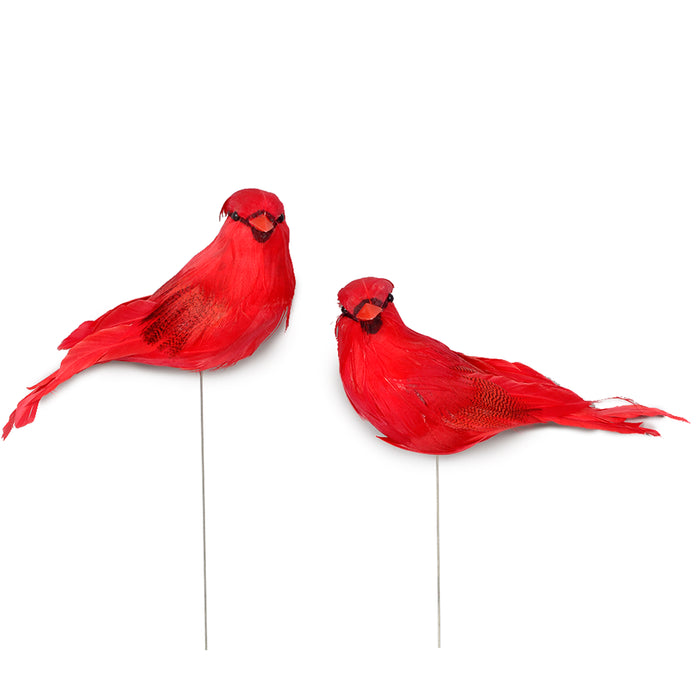 Feather Cardinal On 6"Wire