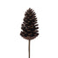 5 1/2 in Large Pine Cone on Pick - Natural