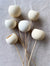 Bell Cup Stem - Bleached
