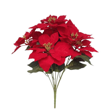 23 in Poinsettia Bush - Red
