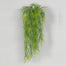 34" Asparagus Fern Hanging Bush - Green