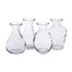 Blossom Vase Assortment