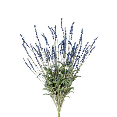 26 in Lavender Bush - Dark Blue