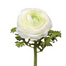 21" Open Ranunculus - White