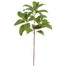 23 in Laurel Leaf - Green