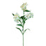28 in Alstromeria Spray - White